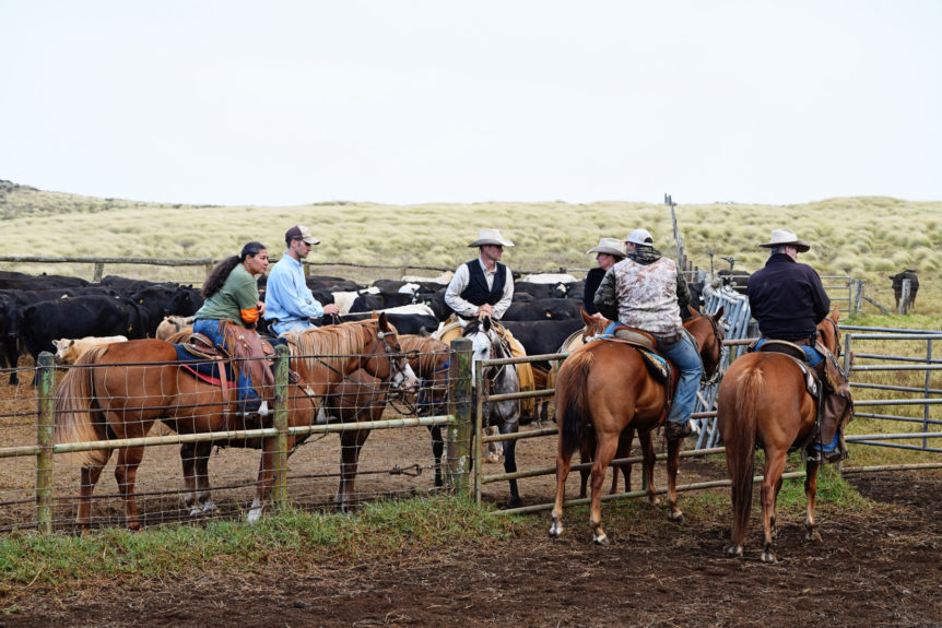 Parker Ranch