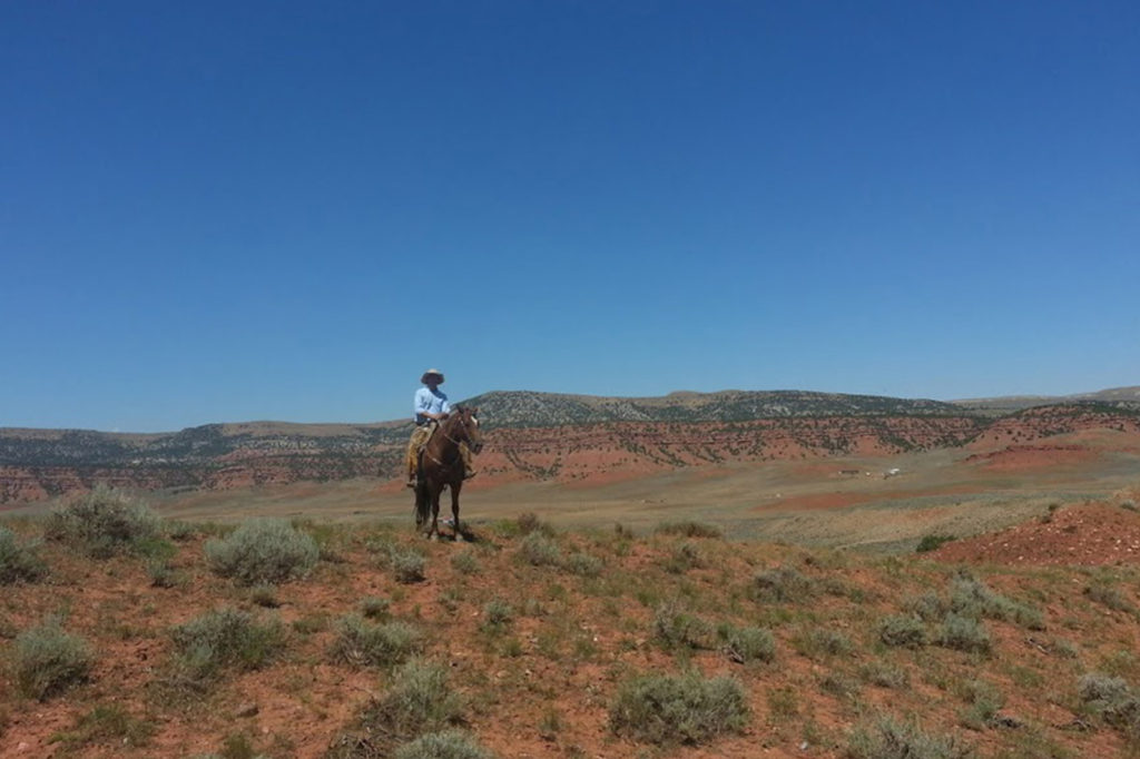 Donner on horseback