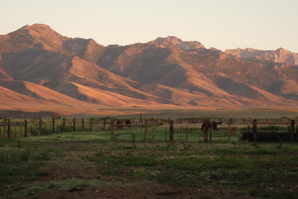 Mountain range in Nevada